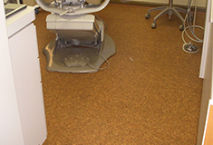 SelecTech’s FreeStyle BioLock flooring meets FDA requirements