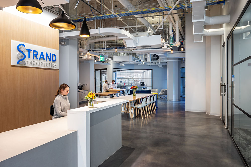 Margulies Perruzzi completes 64,000 s/f lab/office space for Strand Therapeutics