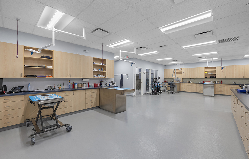 Acella Construction completes South Coastal  Animal Health veterinary facility in Rockland, Mass.