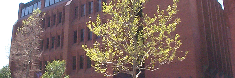 Hayes & Sherry and Mott & Chace sell 321 South Main <br>Street for $6.5 million - a 7-story brick office building