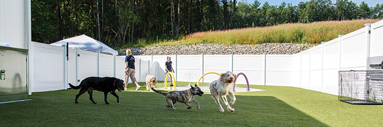 Project of the Month: Seaver Construction completes 10,000 s/f facility for Best Friends Pet Hotel in Tyngsboro, Mass.