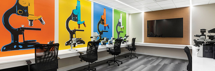 Project of the Month: Maugel Architects and J. Calnan & Assocs. complete Olympus Scientific Solutions 122,000 s/f restack