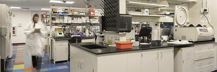 Project of the Month: J. Calnan, RE Dinneen and AHA complete 80,000 s/f headquarters for Dicerna Pharmaceuticals, Inc.