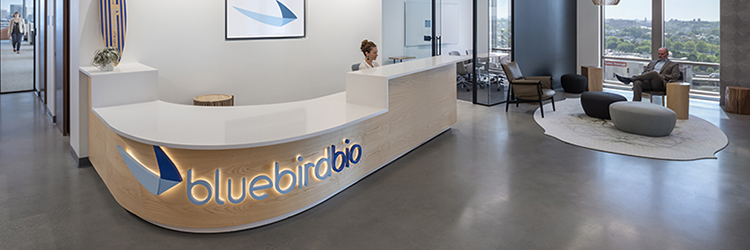 Project of the Month: Timberline completes construction at bluebird bio’s headquarters at Assembly Row - designed by Jacobs