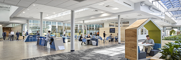 Bulfinch leases 17,000 s/f to Xenon Pharmaceuticals at 117 Kendrick St. in Needham, MA