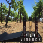linear-vinebox